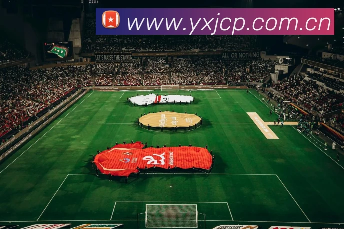 冰球突破官网 - 追求健康,你我一起成长服务体系